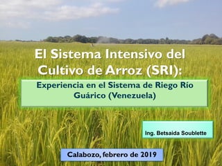 El Sistema Intensivo del
Cultivo de Arroz (SRI):
Experiencia en el Sistema de Riego Río
Guárico (Venezuela)
Ing. Betsaida Soublette
Calabozo, febrero de 2019
 