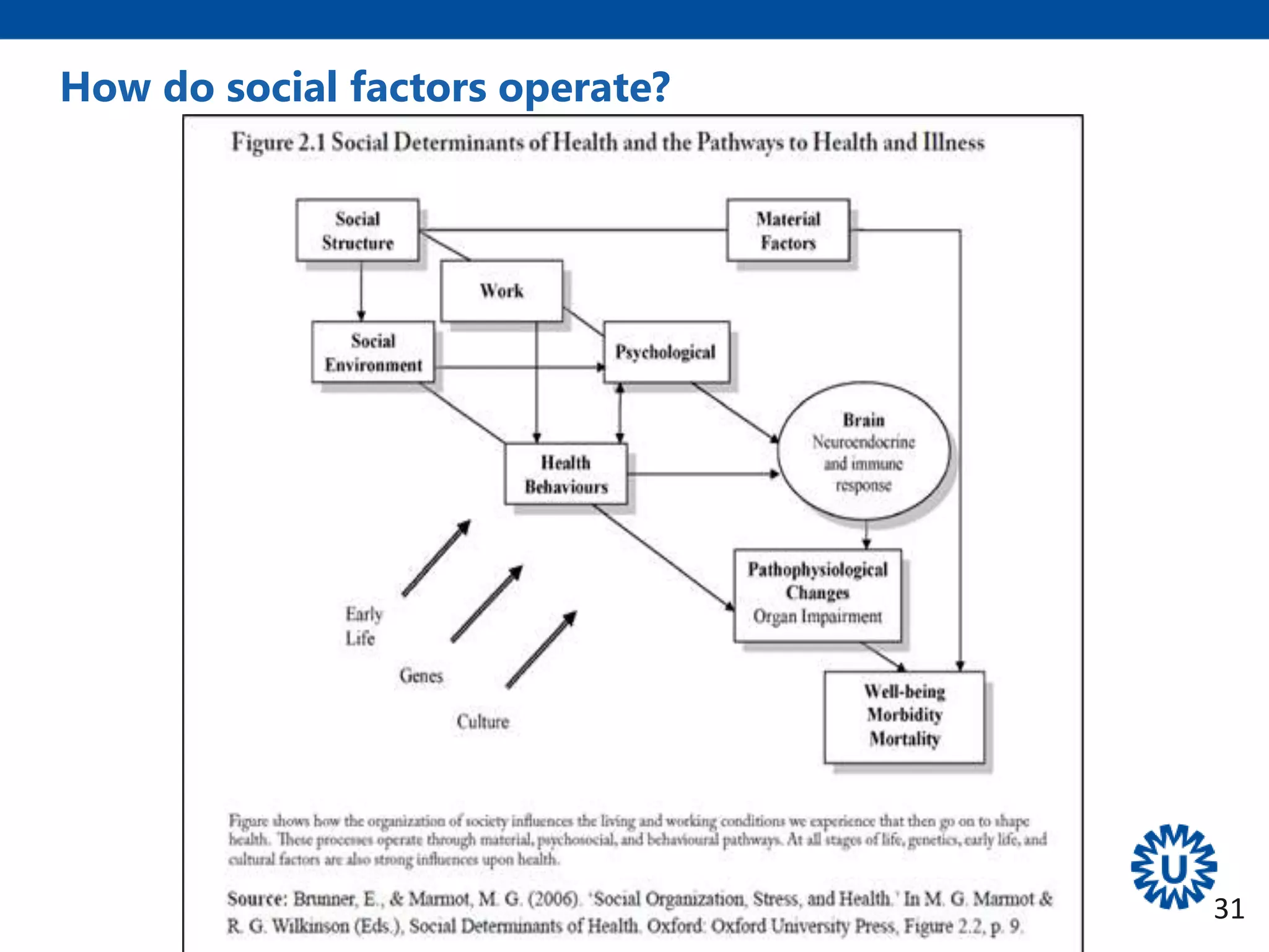 Social and commercial determinants in global health | PPTX