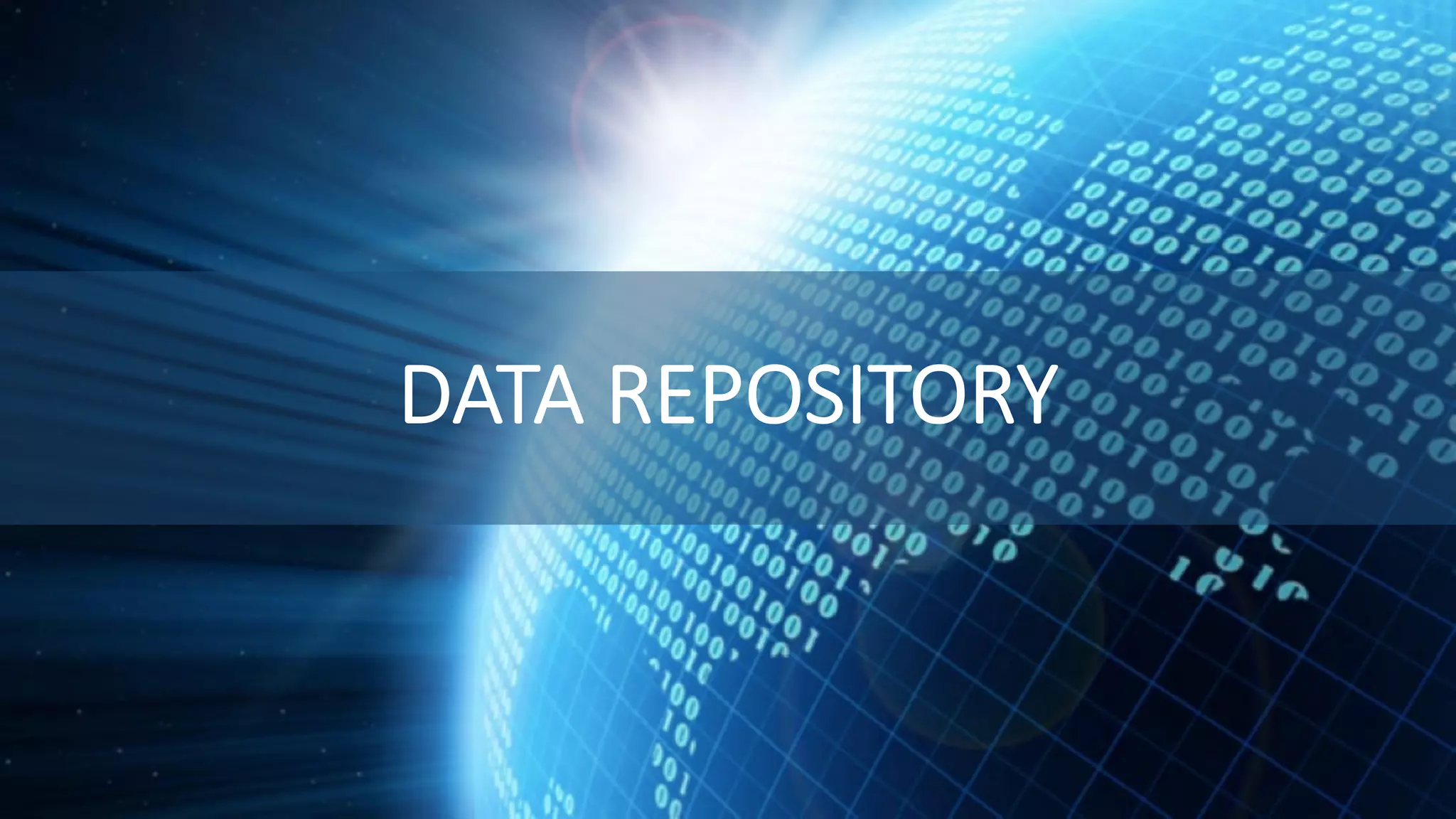 DATA REPOSITORY 