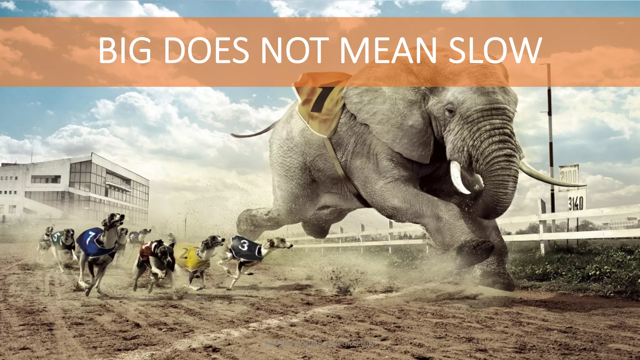 BIG DOES NOT MEAN SLOW AAdamov, CeDAR, ADA University 