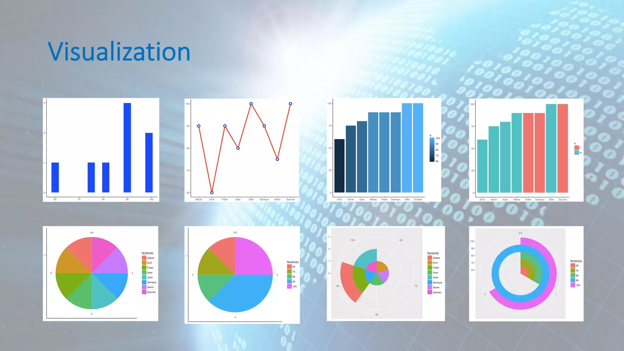 Visualization 
