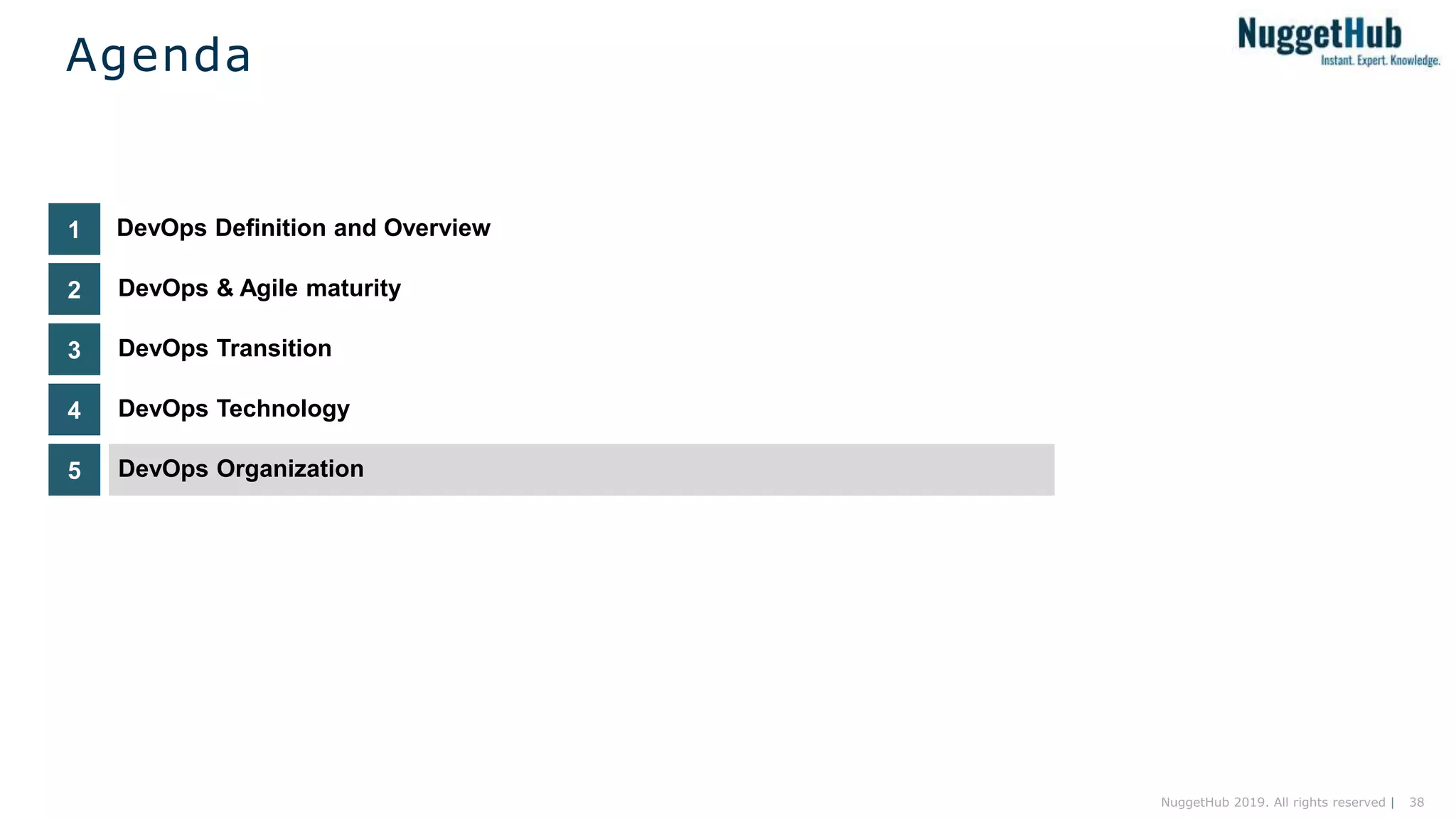 38NuggetHub 2019. All rights reserved |
DevOps Technology4
DevOps Transition3
DevOps & Agile maturity2
DevOps Definition and Overview1
Agenda
DevOps Organization5
 