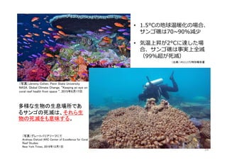 Climate Change And Human Sustainability Japanese