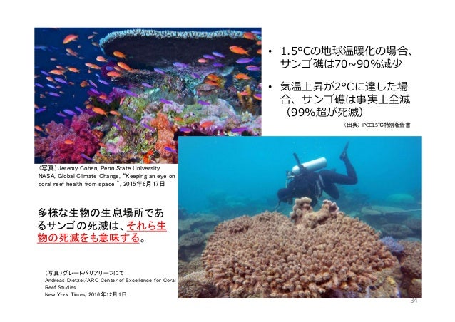 Climate Change And Human Sustainability Japanese