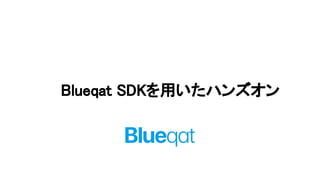 Blueqat SDKを用いたハンズオン
 