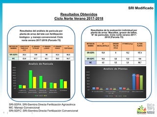5
Resultados Obtenidos
Ciclo Norte Verano 2017-2018
Resultados del análisis de panícula por
planta de arroz del lote con fertilización
biológico y manejo convencional. Ciclo
norte verano 2017-2018 (Parcela 75)
Resultados de la evaluación individual por
planta de arroz: Macollos, grosor de tallos,
N° de panículas. Ciclo norte verano 2017-
2018 (Parcela 75)
SRI Modificado
SRI-SDFA: SRI-Siembra Directa Fertilización Agrosolinca
MC: Manejo Convencional
SRI-SDFC: SRI-Siembra Directa Fertilización Convencional
 