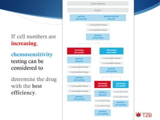 If cell numbers are
increasing,
chemosensitivity
testing can be
considered to
determine the drug
with the best
efficiency.
 