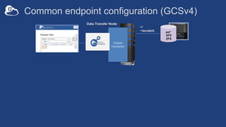 ext*
XFS
ZFS
~/
~/scratch
Common endpoint configuration (GCSv4)
Data Transfer Node
POSIX
Connector
 