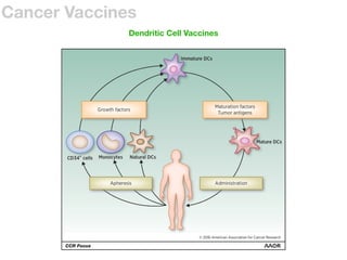Tumor Immunology and Cancer Immunotherapy | PDF