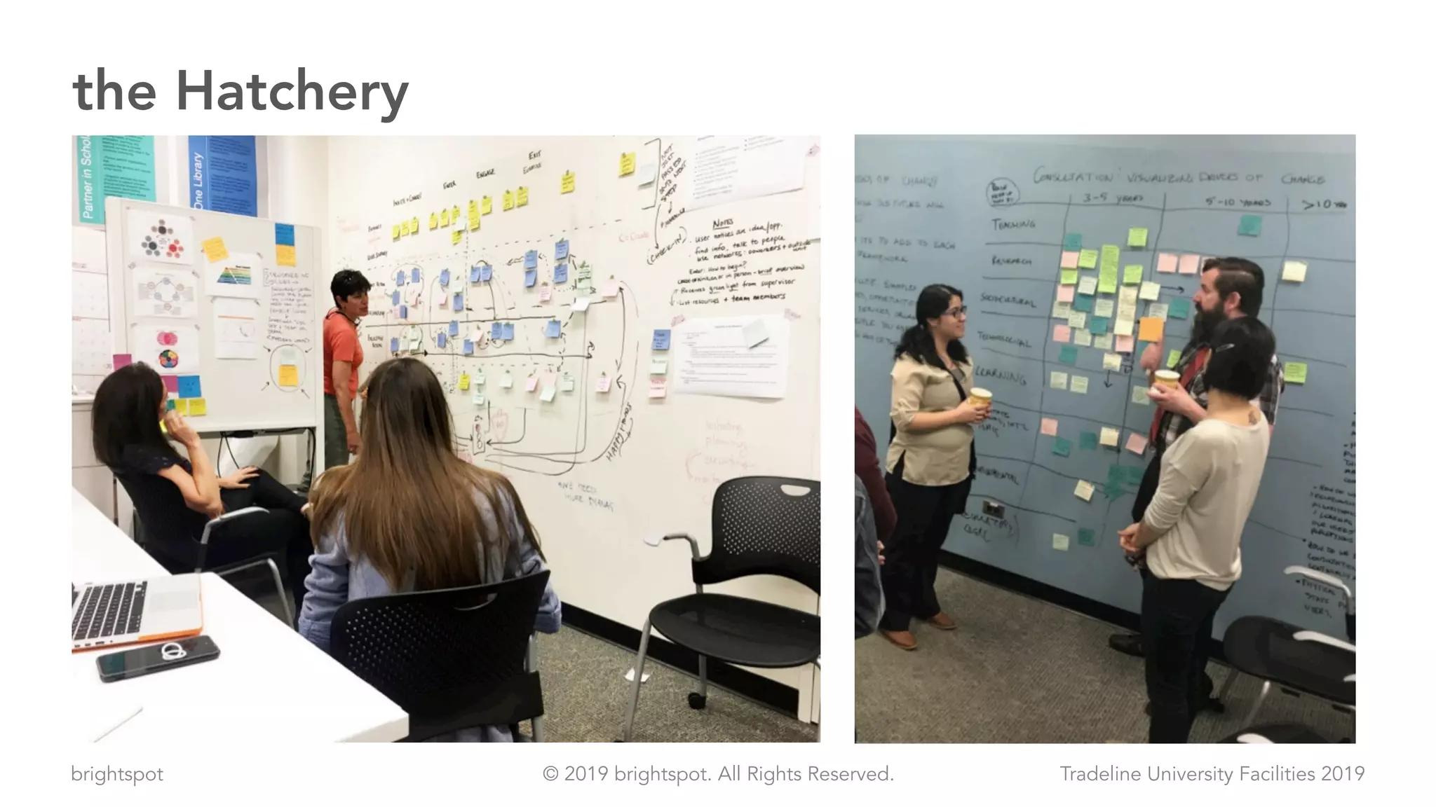 brightspot Tradeline University Facilities 2019© 2019 brightspot. All Rights Reserved.
the Hatchery
 