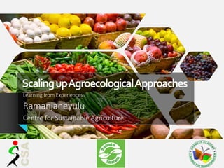 ScalingupAgroecologicalApproaches
Learning from Experiences
Ramanjaneyulu
Centre for Sustainable Agriculture
 