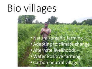 Bio villages
• Natural/organic farming
• Adapting to climate change
• Alternate livelihoods
• Water Positive farming
• Carbon neutral villages
 