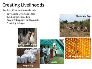 Creating Livelihoods
Sericulture
Backyard Poultry
Honey Production
• Developing Livelihoods Plan
• Building the capacities
• Green Enterprises for Bioinputs
• Providing linkages
For diversifying incomes and assets
Composting
Azolla
Sheep and Goat
 