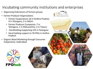 Incubating community institutions and enterprises
• Organising Federations of farmers groups
• Farmer Producer Organisations
• Farmer Cooperatives-16 in Andhra Pradesh,
4 in Telangana, 2 in Sikkim
• Farmer Producer Companies: 7 in
Telangana, 1 in Maharashtra, 2 in Tripura
• Handholding Supporting 225 in Telangana
• Hand holding support to 78 FPOs in Andhra
Pradesh
• Organic Retail Marketing through Consumer
Cooperative, Hyderabad
 