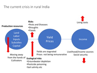 The current crisis in rural India
Land
Labor
Inputs
Subsidies
Capital
Yield
Prices
Income
Production resources
Risks
•Pests and Diseases
•Droughts
•Floods
Moving away
from the hands of
Cultivators
Yields are stagnated
Prices not being remunerative
Ecological risks
•Groundwater depletion
•Pesticide poisoning
•Soil salinity etc
Living costs
Livelihood/Income sources
Social security
 