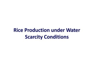 Rice Production under Water
Scarcity Conditions
 