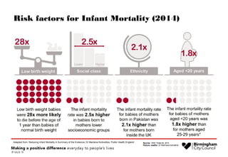 Overview of Infant Mortality | PPT