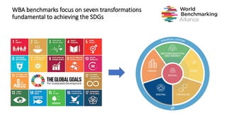 WBA benchmarks focus on seven transformations
fundamental to achieving the SDGs
 
