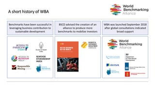 Benchmarks have been successful in
leveraging business contribution to
sustainable development
BSCD advised the creation of an
alliance to produce more
benchmarks to mobilize investors
WBA was launched September 2018
after global consultations indicated
broad support
A short history of WBA
 