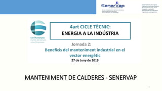 1
MANTENIMENT DE CALDERES - SENERVAP
 