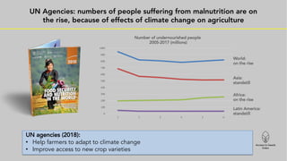 Results and impact of the 2019 Access to Seeds Index