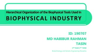 ID: 190707
MD HABIBUR RAHMAN
TASIN
2ND YEAR 2ND TERM
Biotechnology and Genetic Engineering Discipline
 