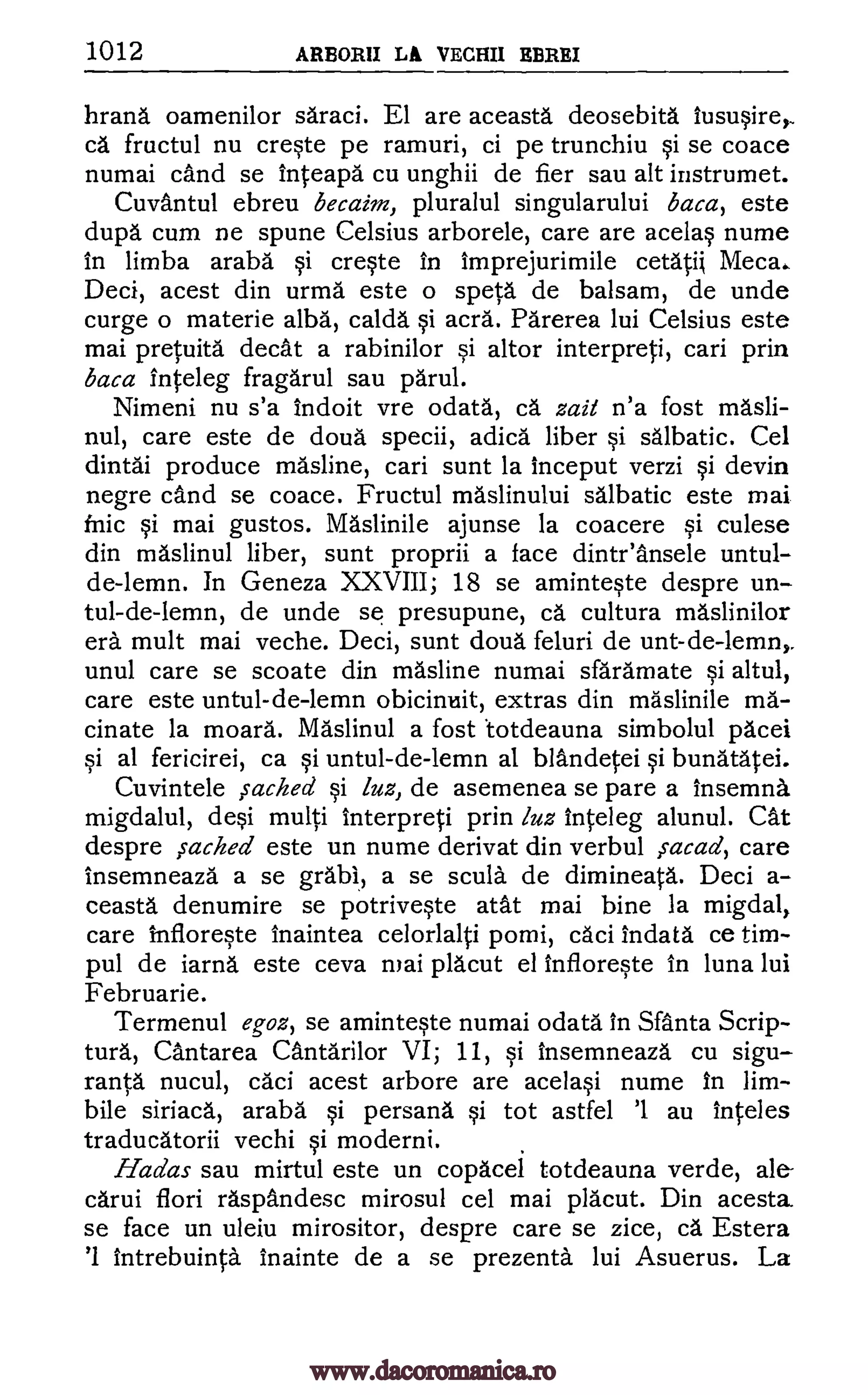 1012 ARBORII LA VECHII EBREI
hrana oamenilor saraci. El are aceasta deosebita Iususire,
ca fructul nu creste pe ramuri, ci pe trunchiu si se coace
numai and se Inteapa cu unghii de fier sau alt instrumet.
Cuvantul ebreu becaim, pluralul singularului baca, este
dupa cum ne spune Celsius arborele, care are acelas nume
In limba araba si creste in Imprejurimile cetati1 Meca.
Deci, acest din urma este o speta de balsam, de unde
curge o materie alba, calda si acra. Parerea lui Celsius este
mai pretuita decat a rabinilor si altor interpreti, cari prin
baca Inteleg fragarul sau parul.
Nimeni nu s'a indoit vre odata, ca zait n'a fost mash-
nul, care este de doua specii, adica liber si salbatic. Cel
dintai produce masline, cari sunt la inceput verzi si devin
negre and se coace. Fructul maslinului salbatic este mai
fnic si mai gustos. Maslinile ajunse la coacere si culese
din maslinul liber, sunt proprii a face dinteansele untul-
de-lemn. In Geneza XXVIII; 18 se aminteste despre un-
tul-de-lemn, de unde se presupune, ca cultura maslinilor
era mult mai veche. Deci, sunt doua feluri de unt-de-lemn,.
unul care se scoate din masline numai sfa'ramate si altul,
care este untul-de-lemn obicinuit, extras din maslinile ma-
cinate la moara. Maslinul a fost totdeauna simbolul pacei
si al fericirei, ca si untul-de-lemn al blandetei si bunatatei.
Cuvintele sacked §i luz, de asemenea se pare a insemna
migdalul, deli multi interpreti prin luz inteleg alunul. Cat
despre sached este un nume derivat din verbul ,sacad, care
Insemneaza a se grabl, a se scula de dimineata. Deci a-
ceasta denumire se potriveste atat mai bine la migdal,
care Infloreste Inaintea celorlalti pomi, caci Indata ce tim-
pul de iarna este ceva mai placut el infloreste In luna lui
Februarie.
Termenul egoz, se aminteste numai °data'. In Santa Scrip-
tura, antarea Cantarilor VI; 11, si insemneaza cu sigu-
ranta nucul, caci acest arbore are acelasi nume In lim-
bile siriaca, araba si persana si tot astfel '1 au Inteles
traducatorii vechi si moderni.
Hadas sau mirtul este un copacel totdeauna verde, ale-
carui flori raspandesc mirosul cel mai placut. Din acesta.
se face un uleiu mirositor, despre care se zice, ca Estera
'1 Intrebuinta Inainte de a se prezenta lui Asuerus. La
www.dacoromanica.ro
 