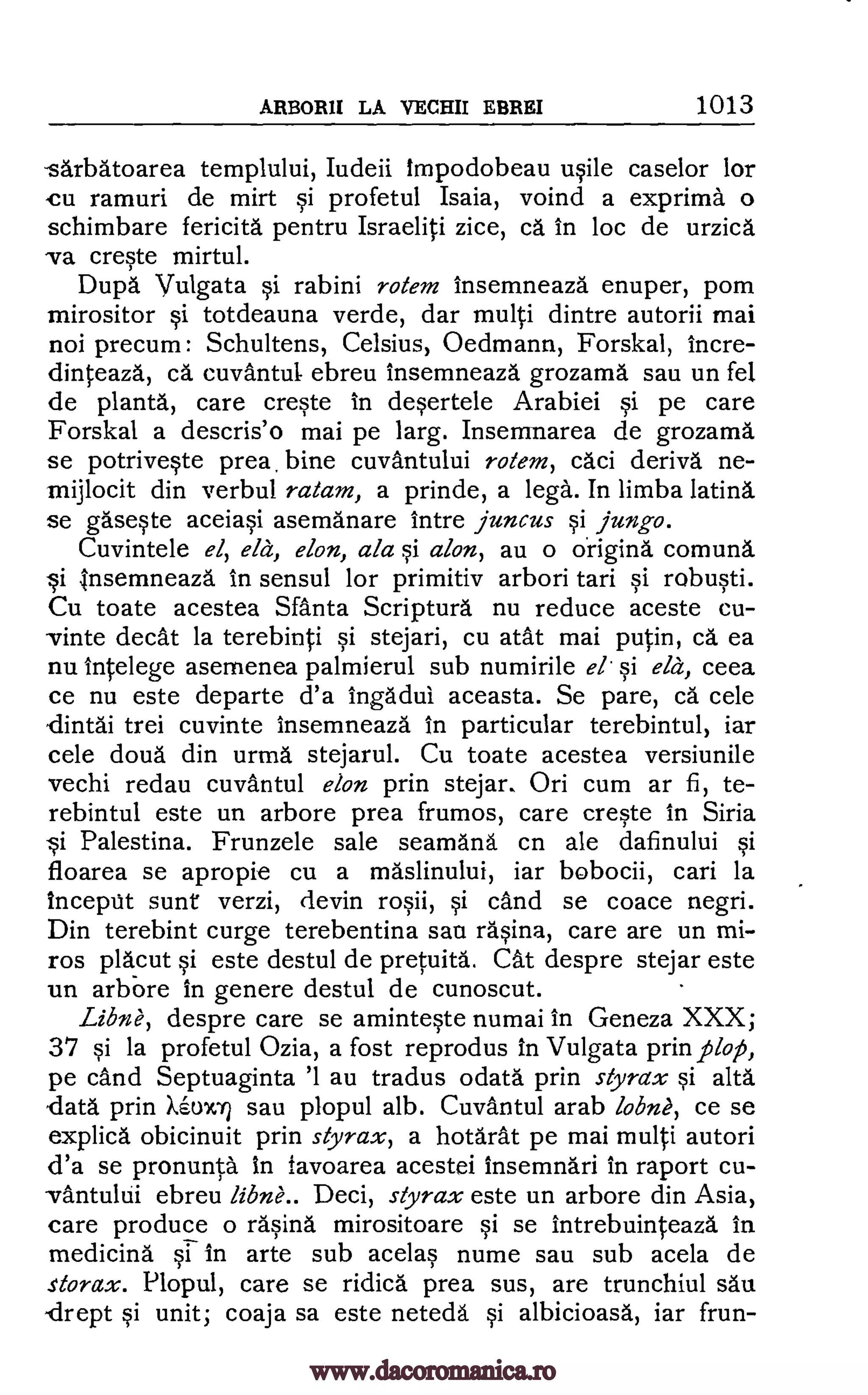 ARBORII Lk VECHII EBREI 1013
-sarbatoarea templului, Iudeii impodobeau usile caselor for
cu ramuri de mirt si profetul Isaia, voind a exprima o
schimbare fericita pentru Israeliti zice, ca in lac de urzica
Ira creste mirtul.
Dupa Vulgata si rabini rotem insemneaza enuper, porn
mirositor si totdeauna verde, dar multi dintre autorii mai
not precum: Schultens, Celsius, Oedmann, Forskal, incre-
dinteaza, ca. cuvantul ebreu insemneaza grozama sau un fel
de planta, care creste in desertele Arabiei si pe care
Forskal a descris'o mai pe larg. Insemnarea de grozama
se potriveste prea, bine cuvantului rotem, caci deriva ne-
mijlocit din verbul ratam, a prinde, a lega. In limba latina
se gaseste aceiasi asemanare intre juncus §i jungo.
Cuvintele el, ela, elon, ala si alon, au o cirigina comuna
Insemneaza in sensul for primitiv arbori tari si robusti.
Cu toate acestea Santa Scriptura nu reduce aceste cu-
vinte decat la terebinti si stejari, cu atat mai putin, ca ea
nu intelege asernenea palmierul sub numirile el. si ela, ceea
ce nu este departe d'a ingadul aceasta. Se pare, ca cele
,dintai trei cuvinte insemneaza In particular terebintul, iar
cele doua din urma stejarul. Cu toate acestea versiunile
vechi redau cuvantul elan prin stejar. Ori cum ar fi, te-
rebintul este un arbore prea frumos, care creste in Siria
i Palestina. Frunzele sale seamana cn ale dafinului si
floarea se apropie cu a maslinului, iar bobocii, cari la
incepfit sunt verzi, devin rosii, si cand se coace negri.
Din terebint curge terebentina sari rasina, care are un mi-
ros placut si este destul de pretuita. Cat despre stejar este
un arbbre in genere destul de cunoscut.
Libne, despre care se aminteste numai in Geneza XXX;
37 si la profetul Ozia, a fost reprodus in Vulgata prin plop,
pe cand Septuaginta '1 au tradus odata prin styrax §i alta.
data prin Xaowri sau plopul alb. Cuvantul arab lobne, ce se
explica obicinuit prin styrax, a hotarat pe mai multi autori
d'a se pronunta In favoarea acestei insemnari in raport cu-
-vantului ebreu /ibne.. Deci, styrax este un arbore din Asia,
care produce o rasing mirositoare si se intrebuinteaza in
medicind si in arte sub acelas nume sau sub acela de
storax. Plopul, care se ridica prea sus, are trunchiul sau
-drept si unit; coaja sa este neteda si albicioasa, iar frun-
Si
www.dacoromanica.ro
 