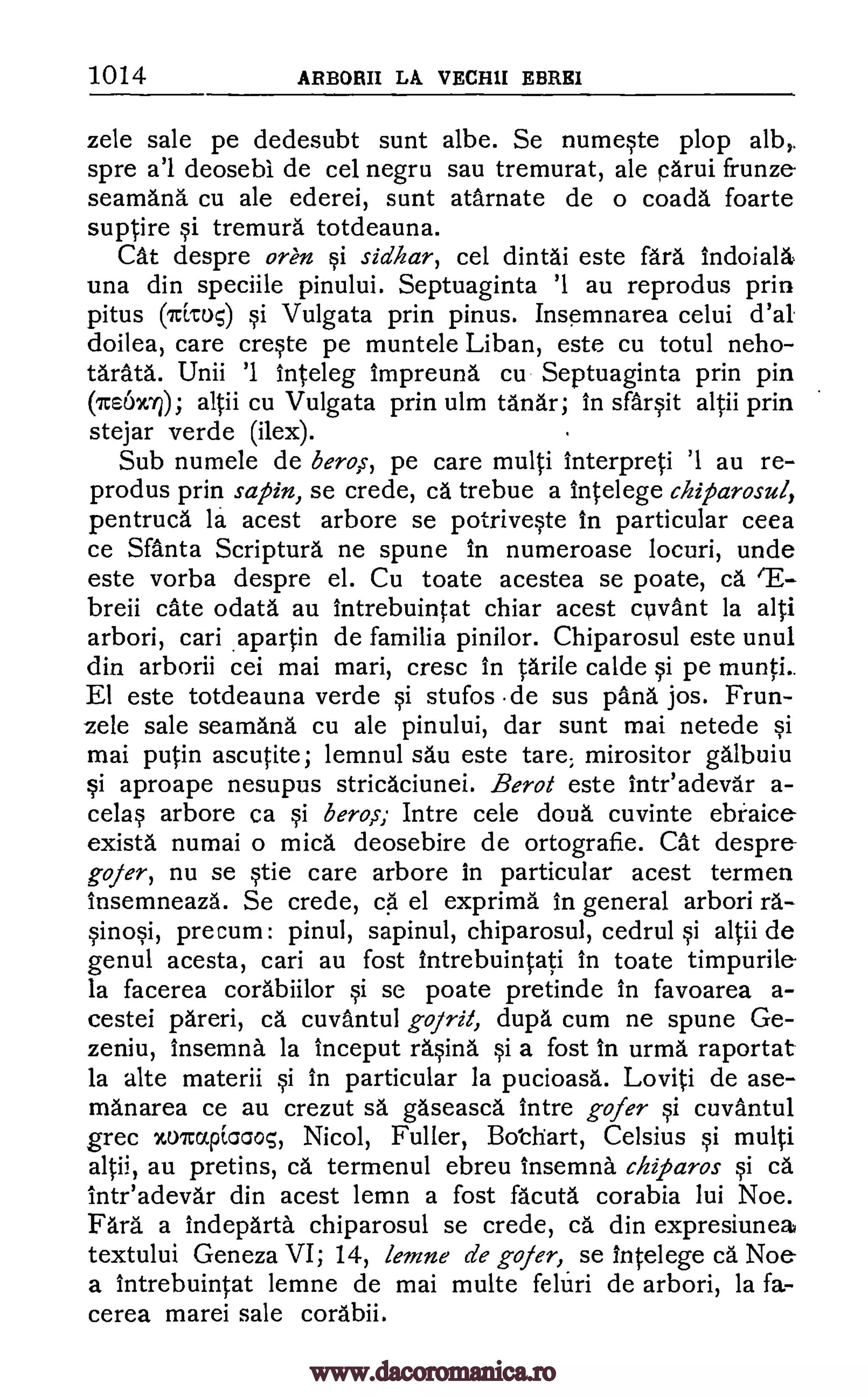 1014 ARBOLUI LA VECHII EBRE1
zele sale pe dedesubt sunt albe. Se numWe plop alb,.
spre a'l deosebi de cel negru sau tremurat, ale parui frunze-
seamana cu ale ederei, sunt atarnate de o coada foarte
suptire §i tremura totdeauna.
Cat despre oren §i sidhar, cel dintai este fare indoiala
una din speciile pinului. Septuaginta '1 au reprodus prin
pitus (7citu5) §i Vulgata prin pinus. Insemnarea celui d'al
doilea, care creqte pe muntele Liban, este cu totul neho-
tarata. Unii '1 Inteleg Impreuna cu Septuaginta prin pin
(7reox,71); altii cu Vulgata prin ulm tanar; in sfarqit altii prin
stejar verde (ilex).
Sub numele de bero,s, pe care multi interpreti '1 au re-
produs prin satin, se crede, ca trebue a intelege chiparosul,
pentruca la acest arbore se potrive§te In particular ceea
ce Santa Scripture ne spune in numeroase locuri, unde
este vorba despre el. Cu toate acestea se poate, ca rE-
breii cate odata au intrebuintat chiar acest cuvant la alti
arbori, cari .apartin de familia pinilor. Chiparosul este unul
din arborii cei mai mari, cresc in Wile calde §i pe munti.
El este totdeauna verde §i stufos .de sus pang jos. Frun-
zele sale seamana cu ale pinului, dar sunt mai netede §i
mai putin ascutite; lemnul sau este tare; mirositor galbuiu
§i aproape nesupus stricaciunei. Berot este inteadevar a-
cela§ arbore ca §i bero,s; Intre cele douh cuvinte ebraice
exista numai o mica deosebire de ortografie. Cat despre
gofer, nu se §tie care arbore in particular acest termen
Insemneaza. Se crede, ca el exprima In general arbori ra-
qinoqi, precum: pinul, sapinul, chiparosul, cedrul §i altii de
genul acesta, cari au fost Intrebuintati in toate timpurile-
Ia facerea corabiilor §i se poate pretinde in favoarea a-
cestei pareri, ca cuvantul gofrit, dupe cum ne spune Ge-
zeniu, insemna la inceput ra.Ona §i a fost In urma raportat
la alte materii §i in particular la pucioasa. Loviti de ase-
manarea ce au crezut sa gaseasca Intre gofer §i cuvantul
grec zoicapicaos, Nicol, Fuller, Bo'chart, Celsius §i multi
altii, au pretins, ca termenul ebreu insemna chitaros §i ca
Inteadevar din acest lemn a lost facuta corabia lui Noe.
Fara a indeparta chiparosul se crede, ca din expresiunea
textului Geneza VI; 14, lemne de gofer, se Intelege ca.' Noe
a Intrebuintat lemne de mai multe feltiri de arbori, la fa-
cerea marei sale corabii.
www.dacoromanica.ro
 