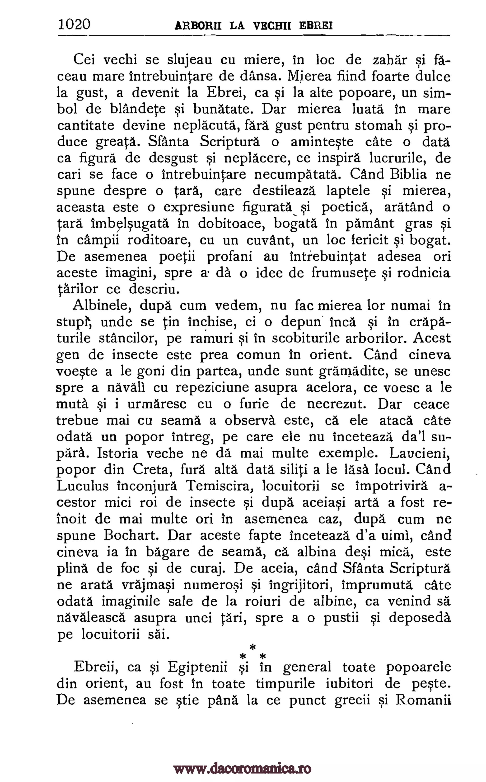 1020 ARBORII LA MOHR EBREI
Cei vechi se slujeau cu miere, in loc de zahar si fa-
ceau mare intrebuintare de dansa. Mierea fiind foarte dulce
la gust, a devenit la Ebrei, ca si la alte popoare, un sim-
bol de blandete si bunatate. Dar mierea luata in mare
cantitate devine neplacuta, fare gust pentru stomah si pro-
duce greats. Santa Scriptura o aminteste cate o data
ca figura de desgust si neplacere, ce inspire lucrurile, de
cari se face o intrebuintare necumpatata. and Biblia ne
spune despre o tarn, care destileaza laptele si mierea,
aceasta este o expresiune figurate si poetics, aratand o
Cara ImbOsugata In dobitoace, bogata in pamant gras si
in campii roditoare, cu un cuvant, un loc fericit si bogat.
De asemenea poetii profani au Intrebuintat adesea on
aceste irnagini, spre a da o idee de frumusete si rodnicia
tarilor ce descriu.
Albinele, dupe cum vedem, nu fac mierea for numai in
stupI' unde se tin inchise, ci o depun Inca si in crapa-
turile stancilor, pe ramuri si in scobiturile arborilor. Acest
gen de insecte este prea comun in orient. and cineva
voeste a le goni din partea, unde sunt grannadite, se unesc
spre a n'avall cu repeziciune asupra acelora, ce voesc a le
mute si i urmaresc cu o furie de n.ecrezut. Dar ceace
trebue mai cu seama a observe este, ca ele ataca ate
odata un popor intreg, pe care ele nu inceteaza da'l su-
para. Istoria veche ne da mai multe exemple. Laucieni,
popor din Creta, furs alts data siliti a le rasa locul. and
Luculus inconjura Temiscira, locuitorii se impotrivira a-
cestor mici roi de insecte si dupd aceiasi arta a fost re-
inoit de mai multe on in asemenea caz, dupe cum ne
spune Bochart. Dar aceste fapte inceteaza d'a uimi, cand
cineva is in bagare de seama, ca albina deli mica, este
plina de foc si de curaj. De aceia, cand Santa Scriptura
ne arata vrajmasi numerosi si ingrijitori, imprumuta cate
°data imaginile sale de la roiuri de albine, ca venind sa
navaleasca asupra unei tari, spre a o pustii si deposecla
pe locuitorii
* *
Ebreii, ca si Egiptenii si in general toate popoarele
din orient, au fost In toate timpurile iubitori de peste.
De asemenea se stie pans la ce punct grecii si Romanii
sai.
*
www.dacoromanica.ro
 