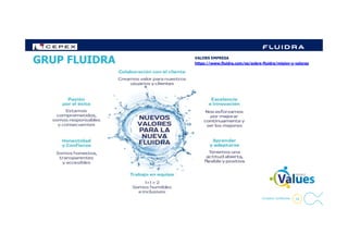 GRUP FLUIDRA VALORS EMPRESA
https://www.fluidra.com/es/sobre-fluidra/mision-y-valores
10- Company Confidential -
 