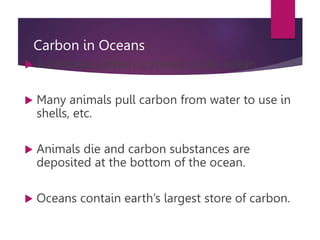 Carbon in Oceans
 Additional carbon is stored in the ocean.
 Many animals pull carbon from water to use in
shells, etc.
 Animals die and carbon substances are
deposited at the bottom of the ocean.
 Oceans contain earth’s largest store of carbon.
 