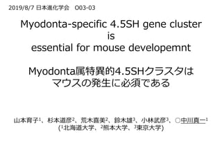 Myodonta-specific 4.5SH gene cluster
is
essential for mouse developemnt
Myodonta属特異的4.5SHクラスタは
マウスの発生に必須である
山本育子1、杉本道彦2、荒木喜美2、鈴木雄3、小林武彦3、○中川真一1
(1北海道大学、2熊本大学、3東京大学)
2019/8/7 日本進化学会 O03-03
 