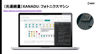 BAXANADUեȥ˥ޥ
https://github.com/XanaduAI/strawberry?elds
 