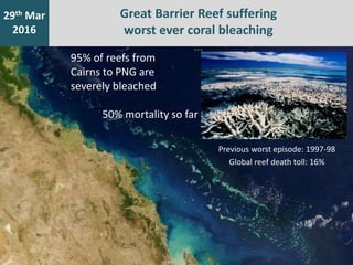 2nd Mar
2016
2nd Mar
2016
xGreat Barrier Reef suffering
worst ever coral bleaching
…
29th Mar
2016
Previous worst episode:...
