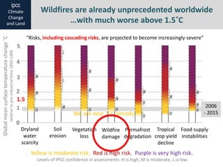 Wildfires are already unprecedented worldwide
…with much worse above 1.5˚C
Globalmeansurfacetemperaturechange˚C
relativeto...