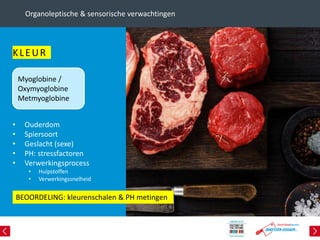 KLEUR
• Ouderdom
• Spiersoort
• Geslacht (sexe)
• PH: stressfactoren
• Verwerkingsprocess
• Hulpstoffen
• Verwerkingssnelheid
Organoleptische & sensorische verwachtingen
BEOORDELING: kleurenschalen & PH metingen
Myoglobine /
Oxymyoglobine
Metmyoglobine
 