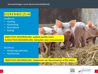 Verwachtingen rond dierenvriendelijkheid
DIERENWELZIJN
Landbouw:
• Voeding
• Huisvesting
• Gezondheid
• Gedrag
OBJECTIEVE BEOORDELING: welfare quality score
SUBJECTIEVE BEOORDELING: kijkstallen voor consumenten
Slachthuis:
• Verdovingsmethodes
• Slachttempo
OBJECTIEVE BEOORDELING: Toekennen van Dierenwelzijn of Bio labels
 
