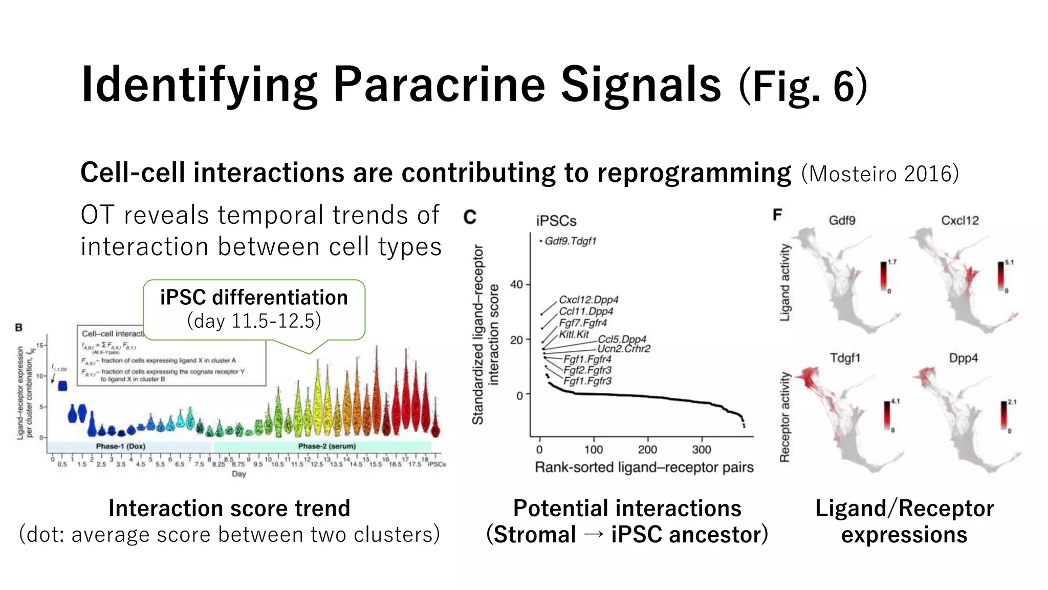 Identifying Paracrine Signals (Fig. 6)
Potential interactions
(Stromal → iPSC ancestor)
Ligand/Receptor
expressions
Cell-cell interactions are contributing to reprogramming (Mosteiro 2016)
OT reveals temporal trends of
interaction between cell types
Interaction score trend
(dot: average score between two clusters)
iPSC differentiation
(day 11.5-12.5)
 