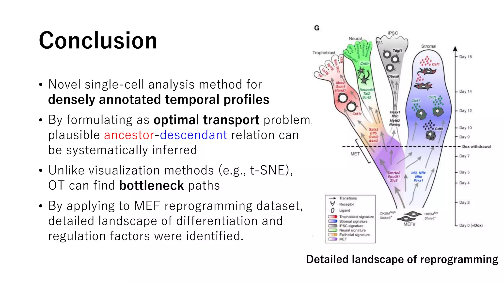 Conclusion
• Novel single-cell analysis method for
densely annotated temporal profiles
• By formulating as optimal transport problem,
plausible ancestor-descendant relation can
be systematically inferred
• Unlike visualization methods (e.g., t-SNE),
OT can find bottleneck paths
• By applying to MEF reprogramming dataset,
detailed landscape of differentiation and
regulation factors were identified.
Detailed landscape of reprogramming
 