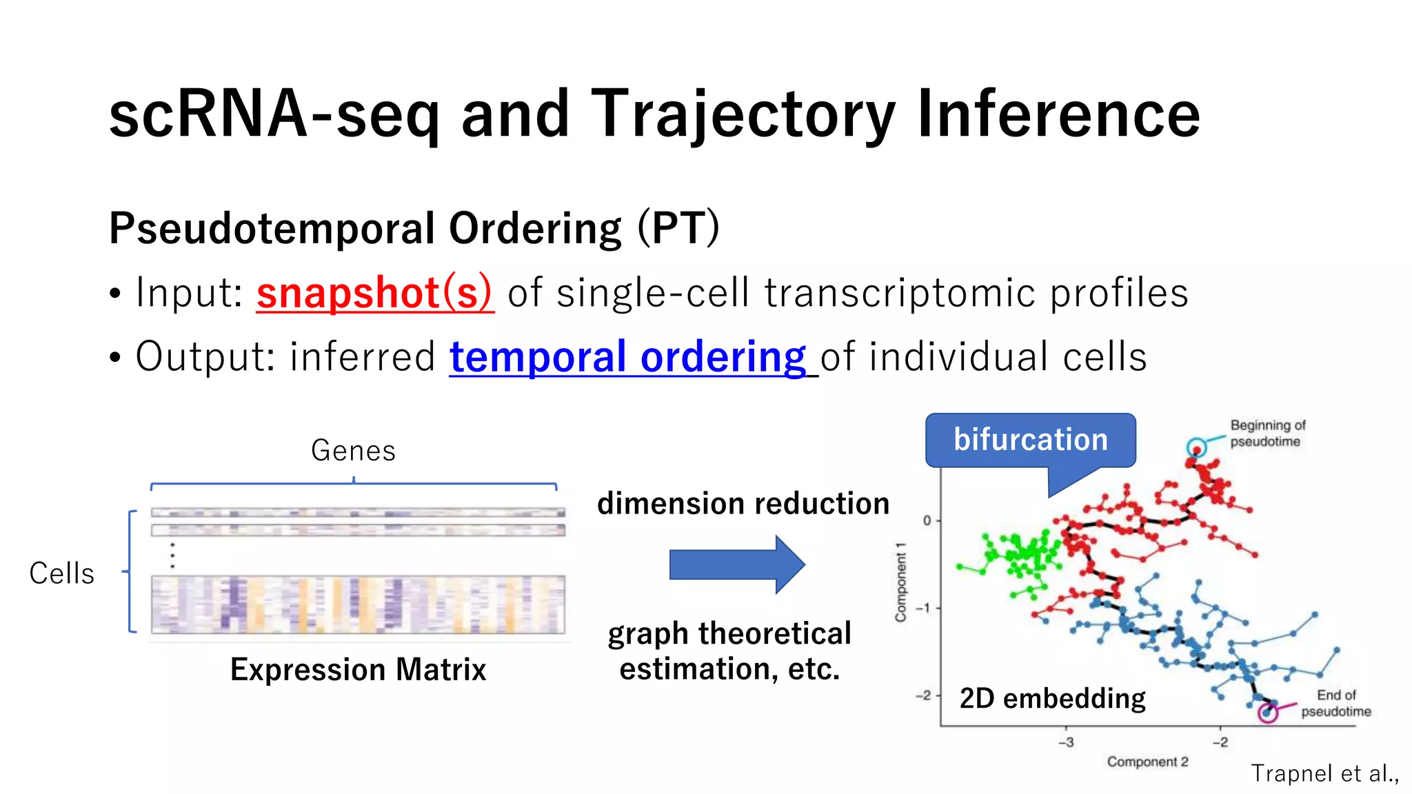 scRNA-seq and Trajectory Inference
Pseudotemporal Ordering (PT)
• Input: snapshot(s) of single-cell transcriptomic profiles
• Output: inferred temporal ordering of individual cells
Expression Matrix
Cells
Genes
dimension reduction
graph theoretical
estimation, etc.
2D embedding
bifurcation
Trapnel et al.,
 