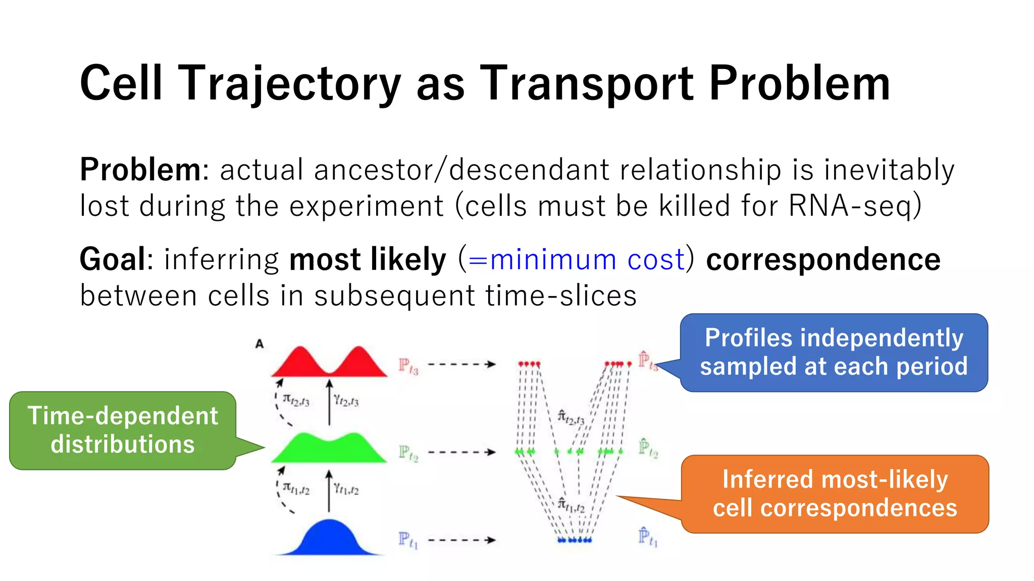 Cell Trajectory as Transport Problem
Problem: actual ancestor/descendant relationship is inevitably
lost during the experiment (cells must be killed for RNA-seq)
Goal: inferring most likely (=minimum cost) correspondence
between cells in subsequent time-slices
Profiles independently
sampled at each period
Inferred most-likely
cell correspondences
Time-dependent
distributions
 