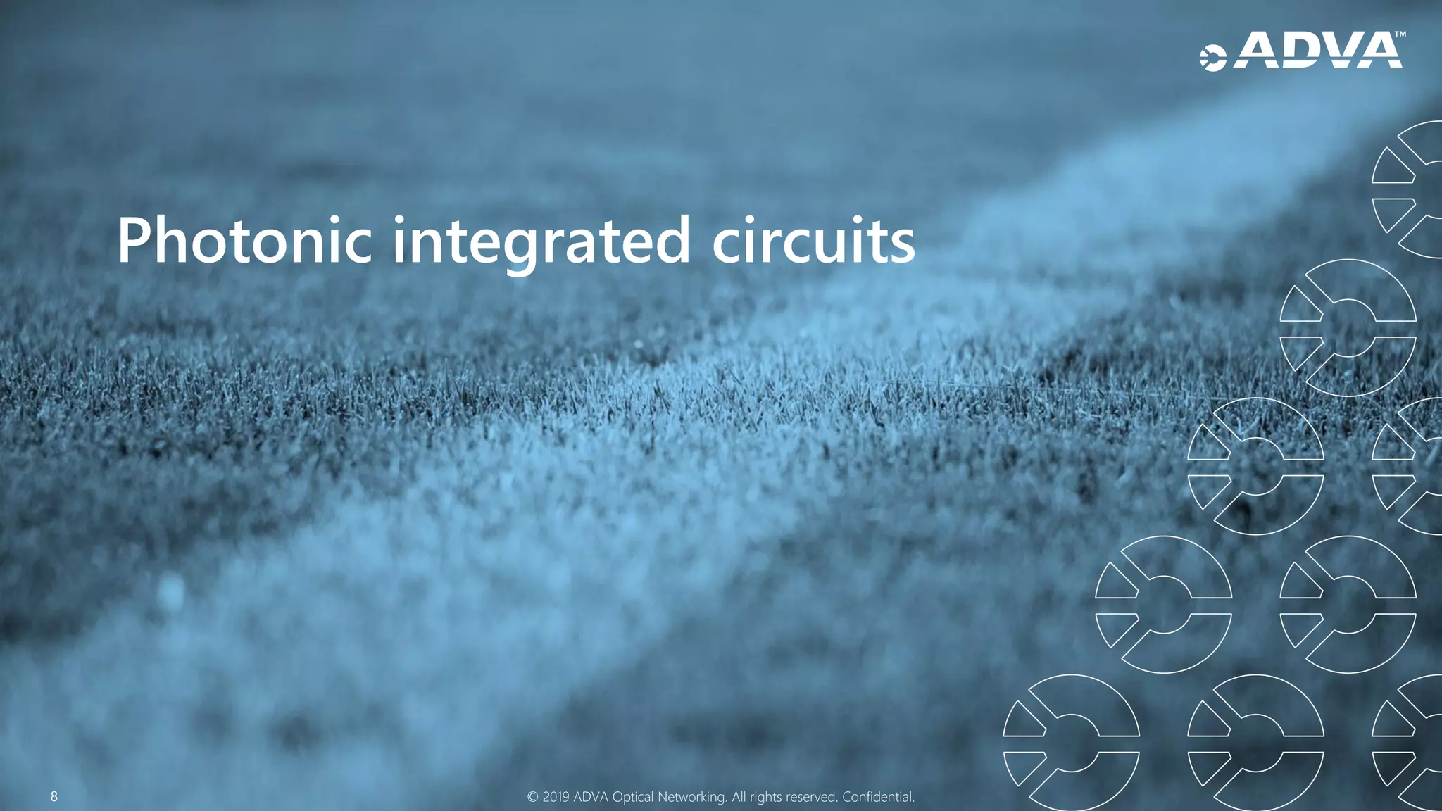 8 © 2019 ADVA Optical Networking. All rights reserved. Confidential.
Photonic integrated circuits
 