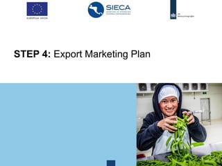 STEP 4: Export Marketing Plan
 