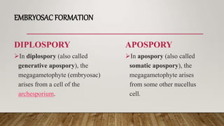 EMBRYOSAC FORMATION
DIPLOSPORY
In diplospory (also called
generative apospory), the
megagametophyte (embryosac)
arises from a cell of the
archesporium.
APOSPORY
In apospory (also called
somatic apospory), the
megagametophyte arises
from some other nucellus
cell.
 