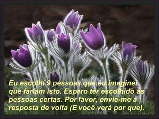 Eu escolhi 9 pessoas que eu imaginei que fariam isto. Espero ter escolhido as pessoas certas. Por favor, envie-me a resposta de volta (E você verá por que). 