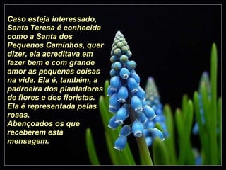 Caso esteja interessado, Santa Teresa é conhecida como a Santa dos Pequenos Caminhos, quer dizer, ela acreditava em fazer bem e com grande amor as pequenas coisas na vida. Ela é, também, a padroeira dos plantadores de flores e dos floristas. Ela é representada pelas rosas. Abençoados os que receberem esta mensagem. 