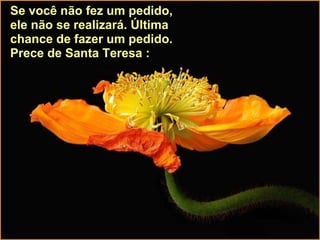 Se você não fez um pedido, ele não se realizará. Última chance de fazer um pedido. Prece de Santa Teresa : 