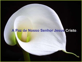 A Paz de Nosso Senhor Jesus  Cristo . 
