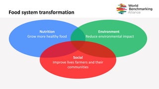 Food system transformation
Nutrition
Grow more healthy food
Environment
Reduce environmental impact
Social
Improve lives f...
